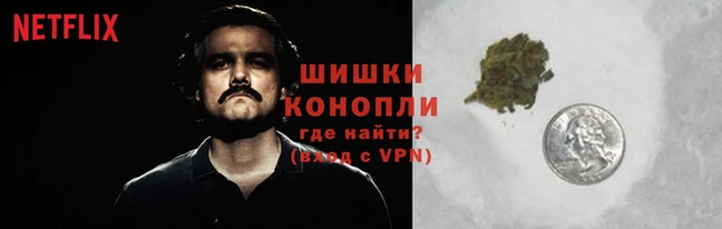 метадон Богородицк