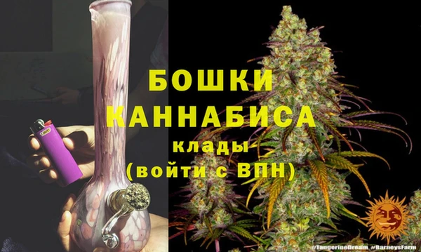 молекула духа Богородск