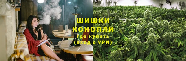 молекула духа Богородск