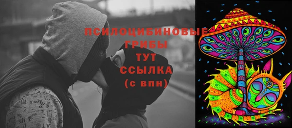 молекула духа Богородск