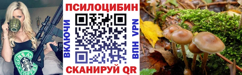 Псилоцибиновые грибы Psilocybine cubensis  Кораблино 